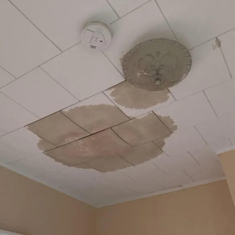 Ceiling Water Damage Repair in Waterbury, VT