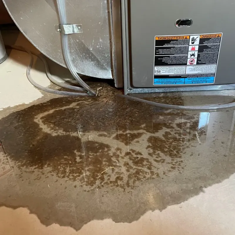 Pipe Burst and Leak Restoration in Waterbury, VT
