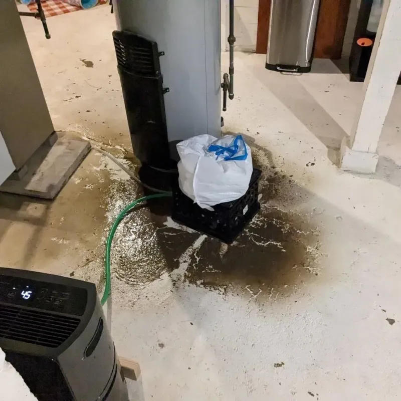 Sewage Backup Cleanup Service in Waterbury, VT